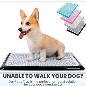 Dog pet cat puppy potty tray indoor with pee pad holder wee training medium New